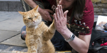 Bir Elin Nesi Var İki Elin Sesi Var Atasözünün Haklılığına Kanıt Olabilecek 9 Örnek