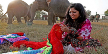 Sirkten Kurtarılan Fillere Kışın Üşümesinler Diye Renkli Kazaklar Ören Köylü Kadınlar