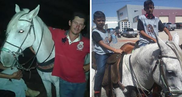 horse-goodbye-owner-funeral-brasil-10