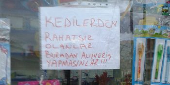 Kırtasiye Dükkanını Sokak Hayvanları İçin Sıcak Bir Yuvaya Çeviren Güzel Yürekli Esnaf