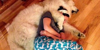 Köpeğimizin En Yakın Arkadaşımız Olmasının 18 Aşırı Pofidik Nedeni