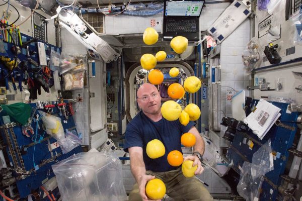 nasa-astronaut-scott-kelly-corrals-the-supply-of-fresh-fruit-that-arrived-on-the-kounotori-5-h-ii-transfer-vehicle