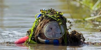 Görüp Görebileceğiniz En Kirli Spor: Şnorkelle Bataklık Dalışı