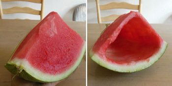 Hayattaki En Büyük Sınavı Troll Kardeşinin Şakaları Olan 9 Talihsiz İnsan