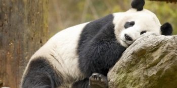 Her Şeyi Son Dakikaya Bırakan İnsanların Çok İyi Bildiği 14 Şey