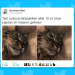 Hiç Vakit Kaybetmeden Görmeniz Gereken Haftanın En Güzel 18 Tweeti