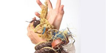 Denizdeki Plastikler Yüzünden Ölen Hayvanların Yerine İnsanları Koyan Çarpıcı Çalışma