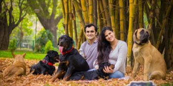 Bebek Bekleyen Çiftin Aşırı Dozda Hayvanseverlik İçeren Hikayesi