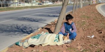 Araba Çarpan Köpeği Battaniye İle Sarıp Başında Nöbet Tutan Mülteci Çocuk Hüseyin