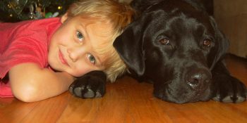 Diyabet Hastası Küçük Luke ile Ona Hayat Veren Kahraman Köpek Jedi’nin Sıcacık Hikayesi