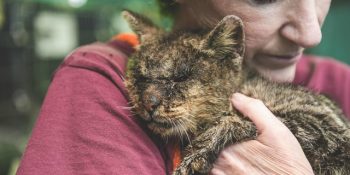 İnsanların Dokunmaya Bile Çekindiği Kediciğe Tüm Kalbini Açan Hayvansever