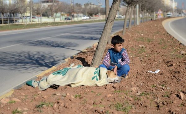 refugee-boy-helps-injured-stray-dog-turkey-4-58afe401da74c__880