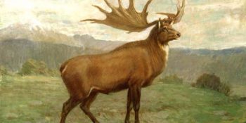 Bilim İnsanlarının Yeniden Hayat Vermeye Çalıştığı Nesli Tükenmiş 25 Hayvan