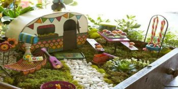 7 Pratik Adımda Teraryum ve Minyatür Bahçe Yapımı