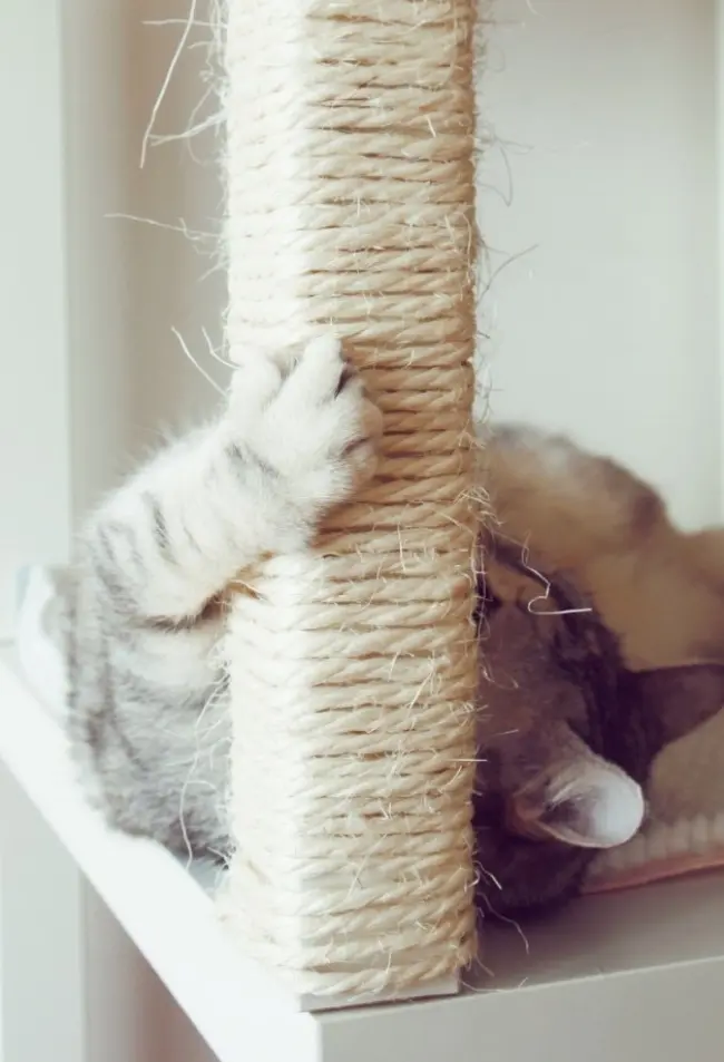 12349910-arbre-a-chat-pas-cher-ikea-diy-21-650-97e0f45c21-1489662464