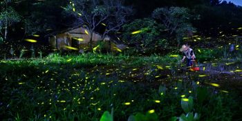 Sadece En İyilerin Seçildiği Sony Fotoğraf Yarışmasından 21 Nefes Kesen Kare