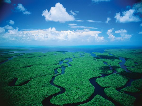 7-Everglades