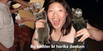 Komik Kedilerle Sansürlenmiş 13 Alkollü Çılgın Ortam