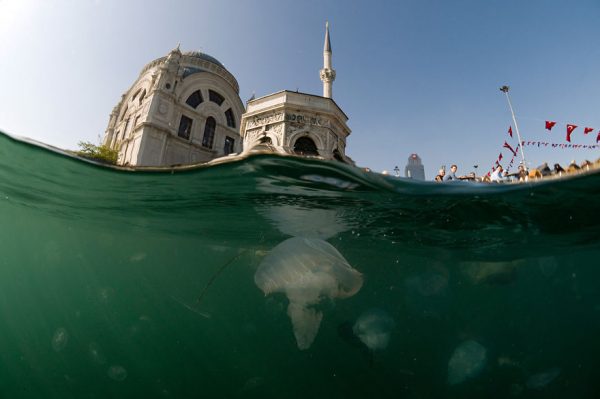 Bosphorus-By-The-Sea-011-588264960ff95__880