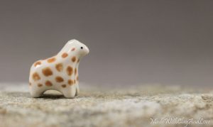 I-make-miniature-minimalist-ceramic-animals-with-a-touch-of-whimsy-and-individual-personalities-58d228ca5d066__880