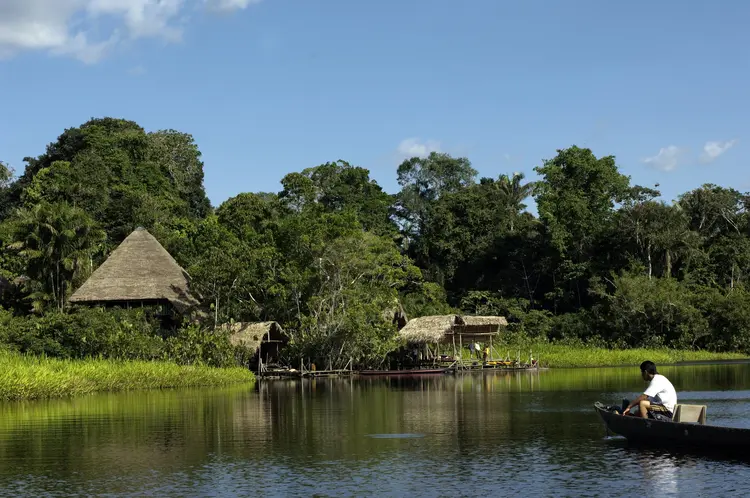 amazonlar