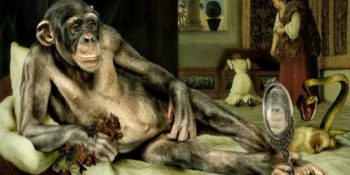 Para Kullanmayı Öğrenince Fuhuş Yapmaya Başlayan Kapuçin Maymunları