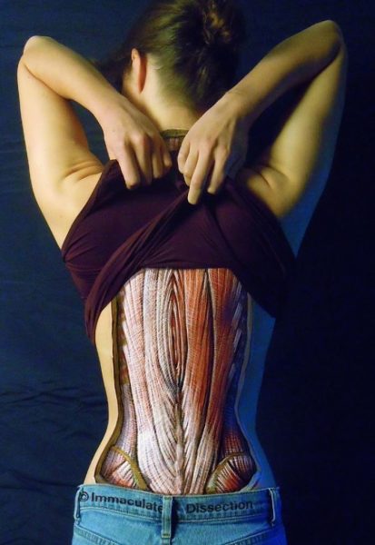 anatomical-body-paintings-danny-quirk-16-58b7ce2a8ec40__700