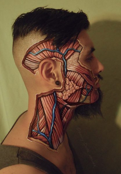 anatomical-body-paintings-danny-quirk-21-58b7ce7520d13__700