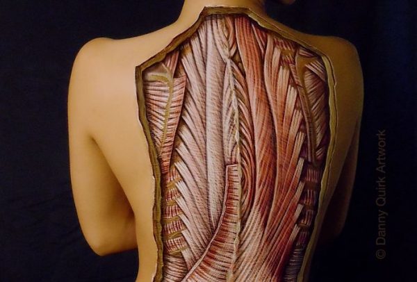 anatomical-body-paintings-danny-quirk-23-58b82a88ab120__700