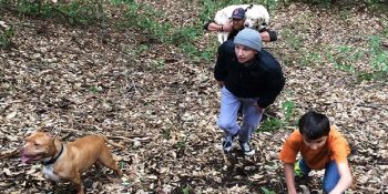 Günler Sonra Bulunduğunda Ailesine Tarifsiz Mutluluk Yaşatan Kör Köpek Sage