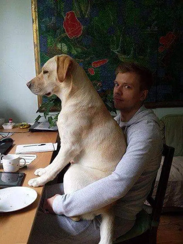 ddd