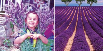 Isparta Keçiborlu’nun Kendine Hayran Bırakan Mor Kraliçesi; Lavanta Tarlaları