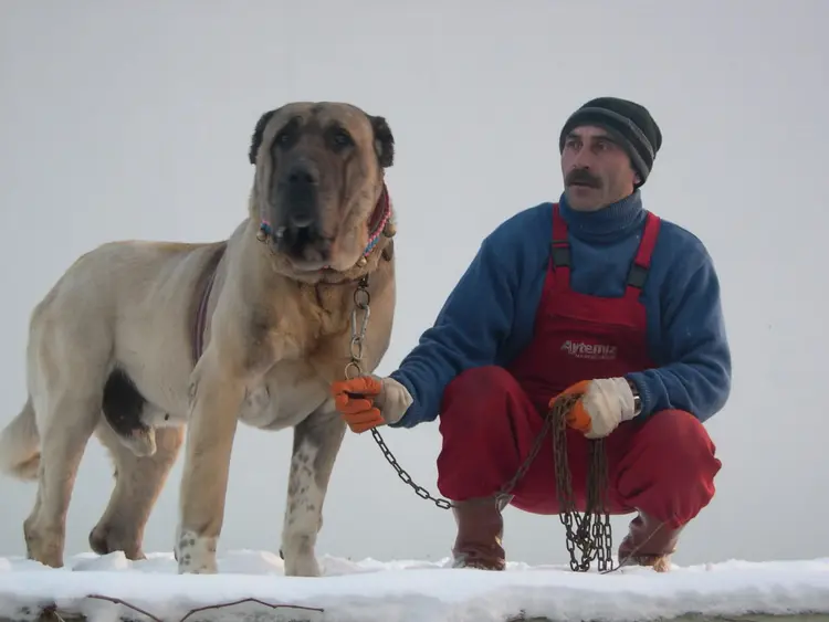 malaklı