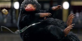 Fantastic Beast’teki Sevimli Hırsız Hakkında Az Bilinen 7 Sevimli Gerçek
