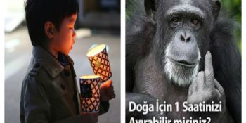 Geleceğe Işık Tutmak Amacıyla Dünya Saati’nde Işıkları Kapatmak İçin 15 Neden