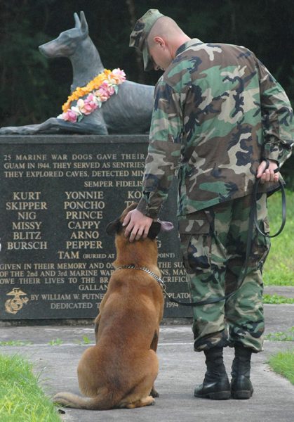 service-dogs-loyalty-military-police-13-58b03a0a47ee0__605