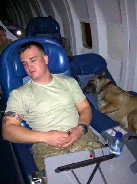 service-dogs-loyalty-military-police-57-58b44732403a5__605