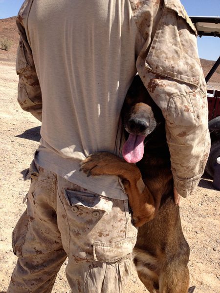 service-dogs-loyalty-military-police-69-58b445ea852cd__605