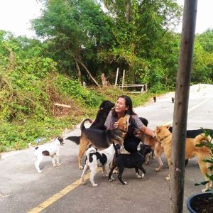stray-dog-brings-gift-feeding-woman-thailand-2