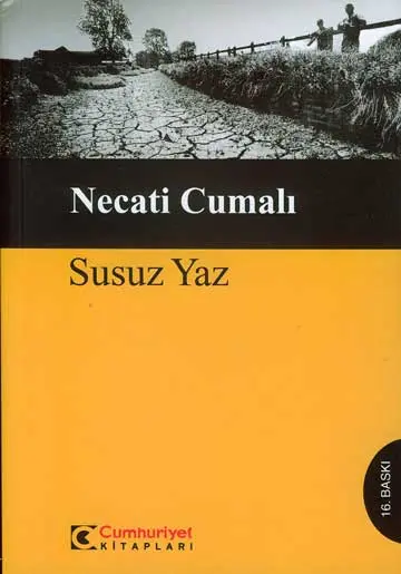 susuz_yaz_20081071641