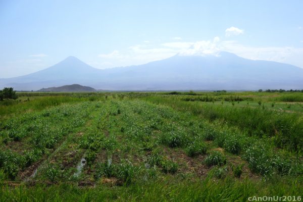 027 Ararat'tan Kucuk Agri ve Buyuk Agri (Ermenistan)
