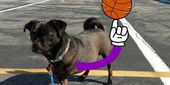 Köpeğinin Kaybettiği Bacağını Çizimlerle Ekleyen Adamın 33 Muhteşem Eseri