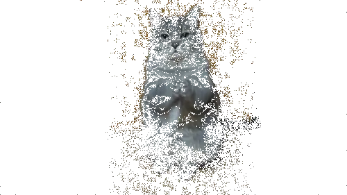 1476451748-catsplain