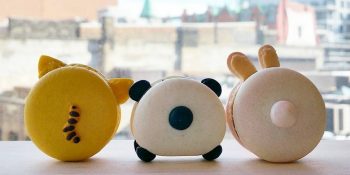 Görenlerin Yemeye Kıyamadığı Makaron Çiftliğinin 17 Sevimli Hayvan Üyesi