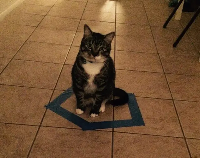 235235