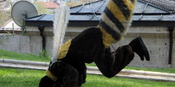 ‘Bal Yemeyin’ Açıklaması Yapan Canan Karatay’ı Arayan Öfkeli Arı Adam Bahtiyar