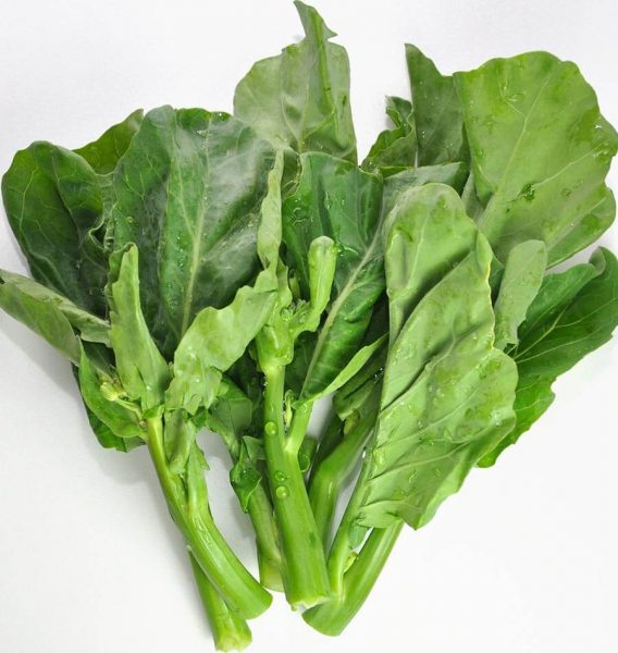 8-Cin-Brokolisi