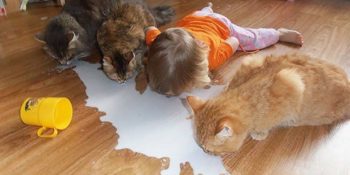 Evcil Hayvanlarla Evde Tek Kalan Çocukların Ebeveynlerine Hazırladıkları 21 Tatlı Sürpriz