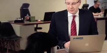 Başkanla Röportaj Yapılan Canlı Yayına Patisini Koyan Patron Kedi