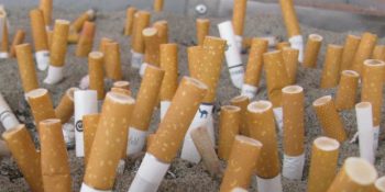 Sigara İzmaritlerini Geri Dönüştürerek Kağıt Yapan Doğa Dostu Şehir